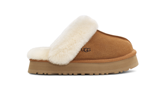 Disquette Slipper