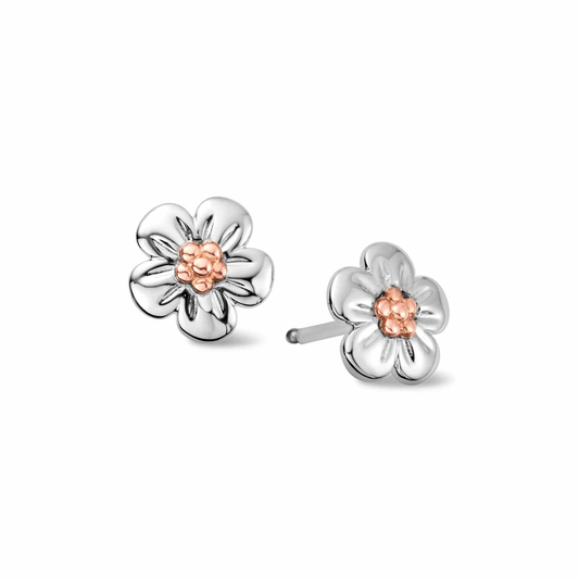 Nature's Wonder Sterling Silver Forget-Me-Not Stud Earrings