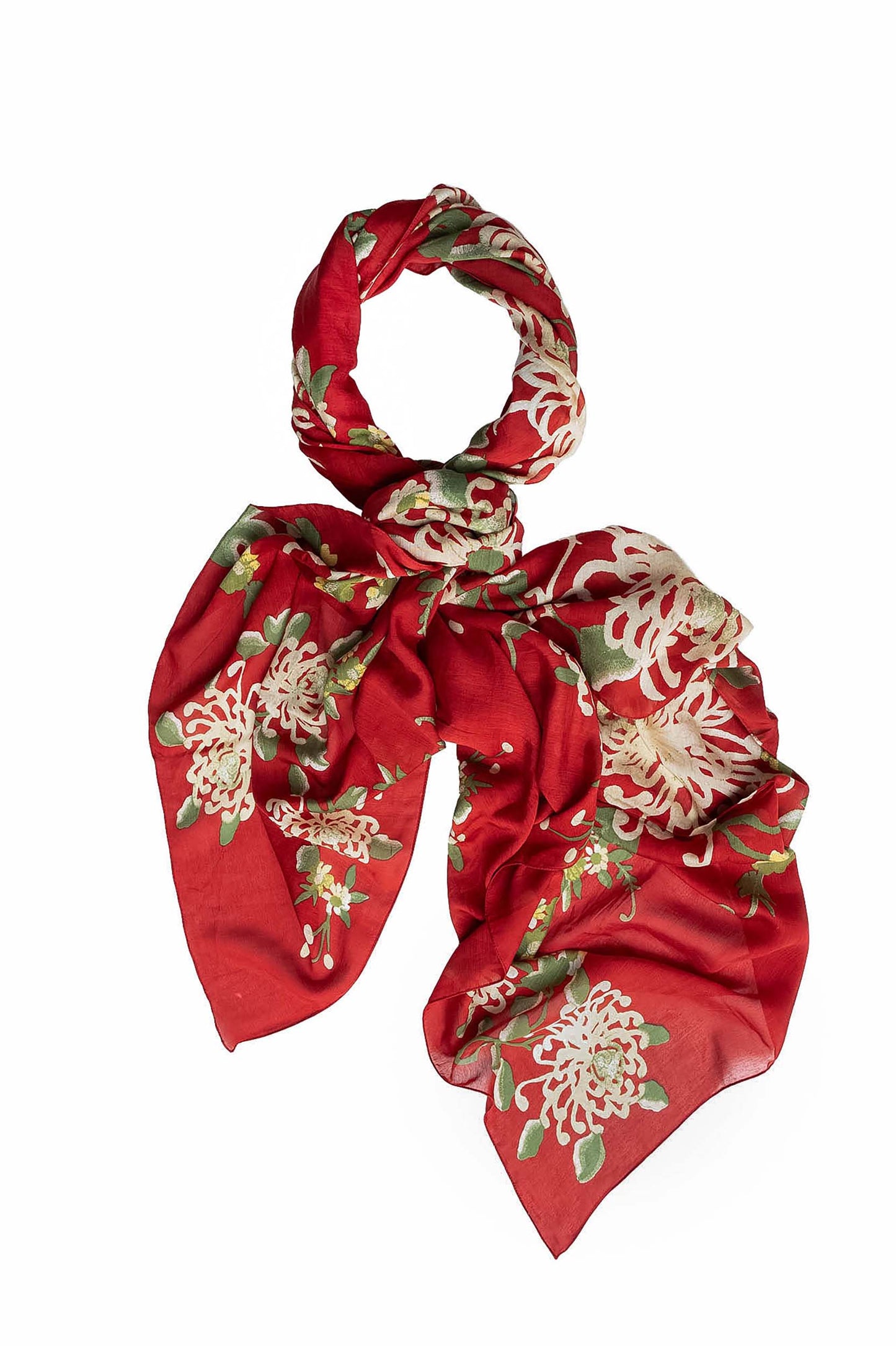 Chrysanthemum Red Scarf