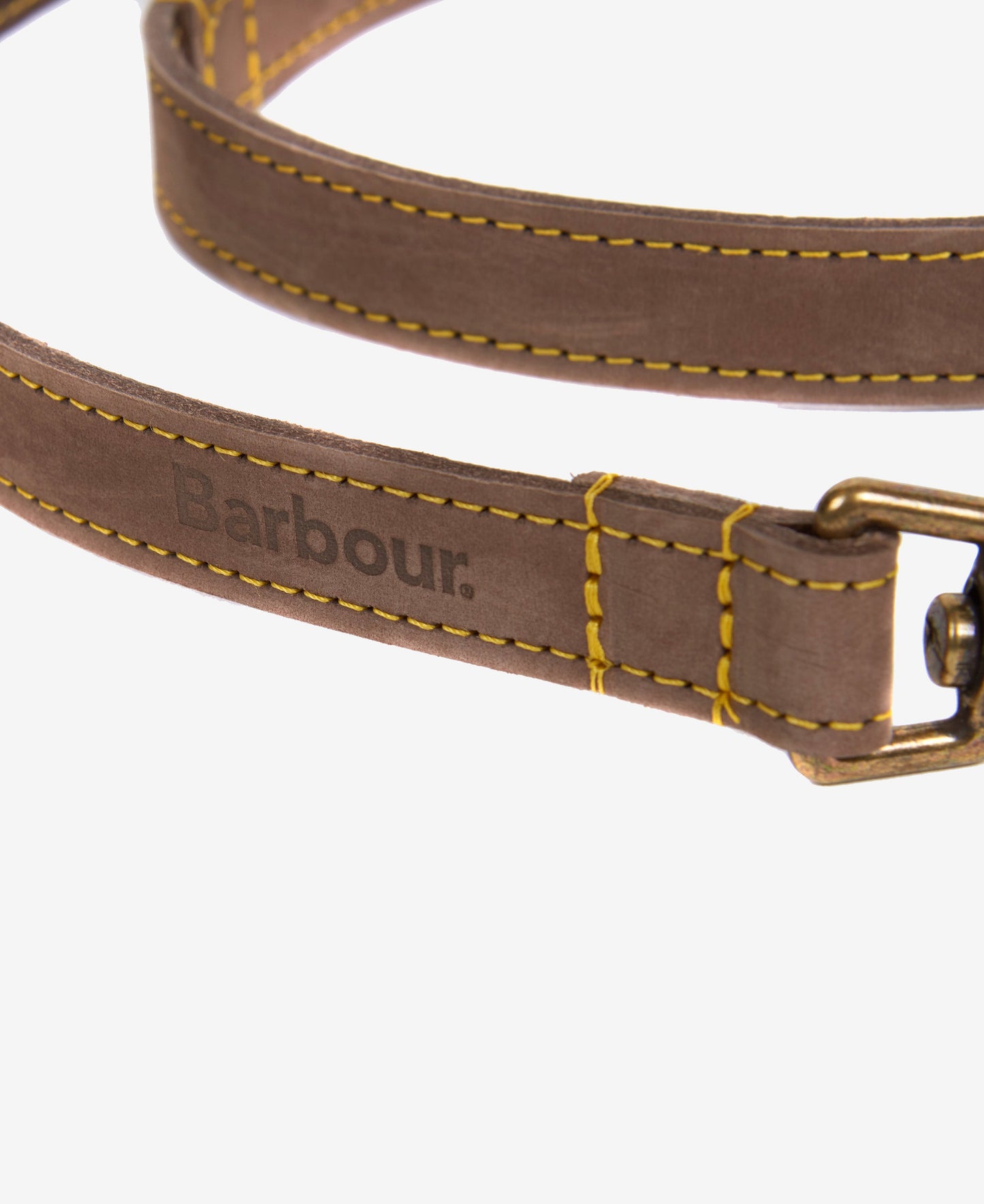 Leather Dog Lead