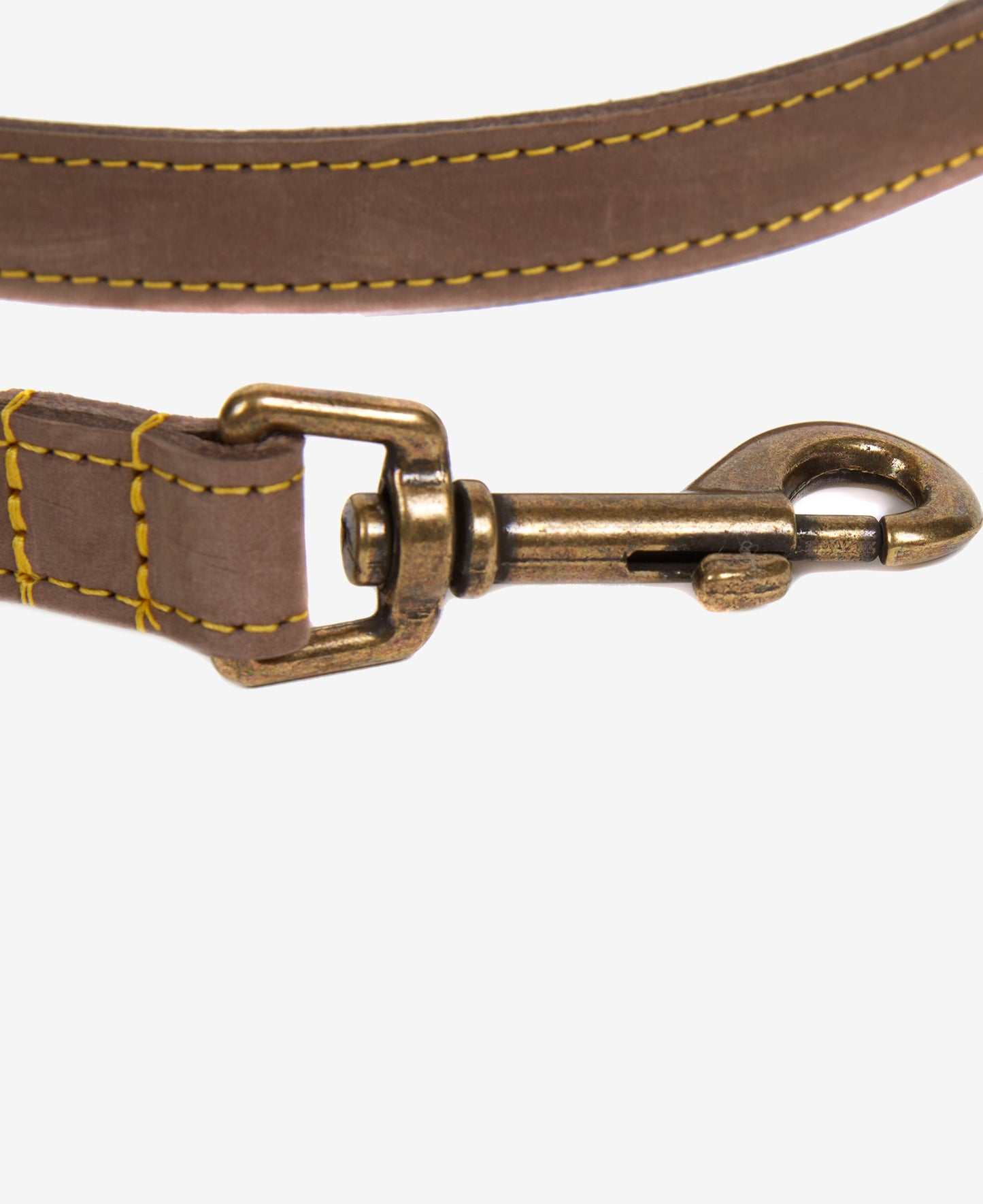 Leather Dog Lead