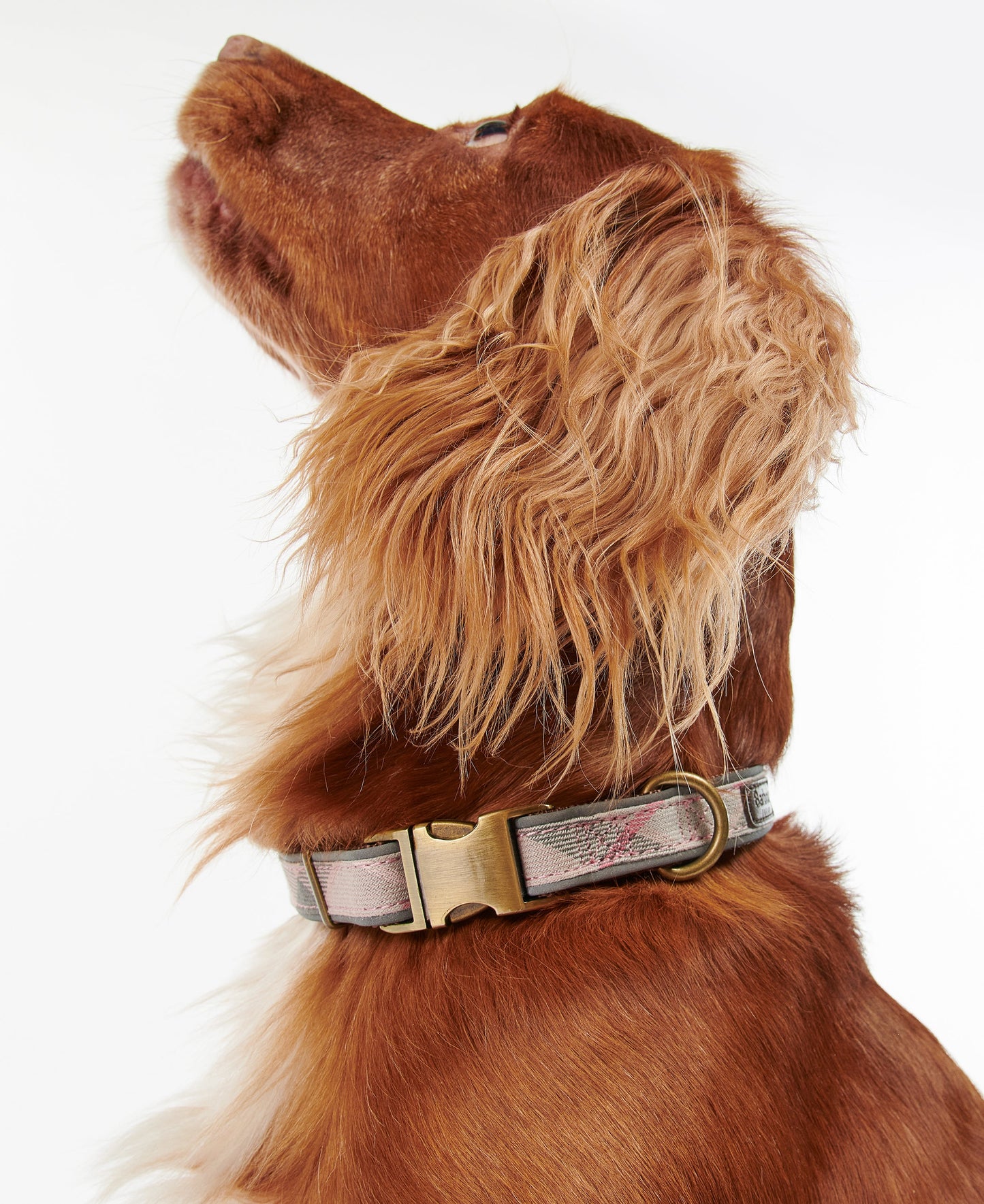 Reflective Tartan Dog Collar