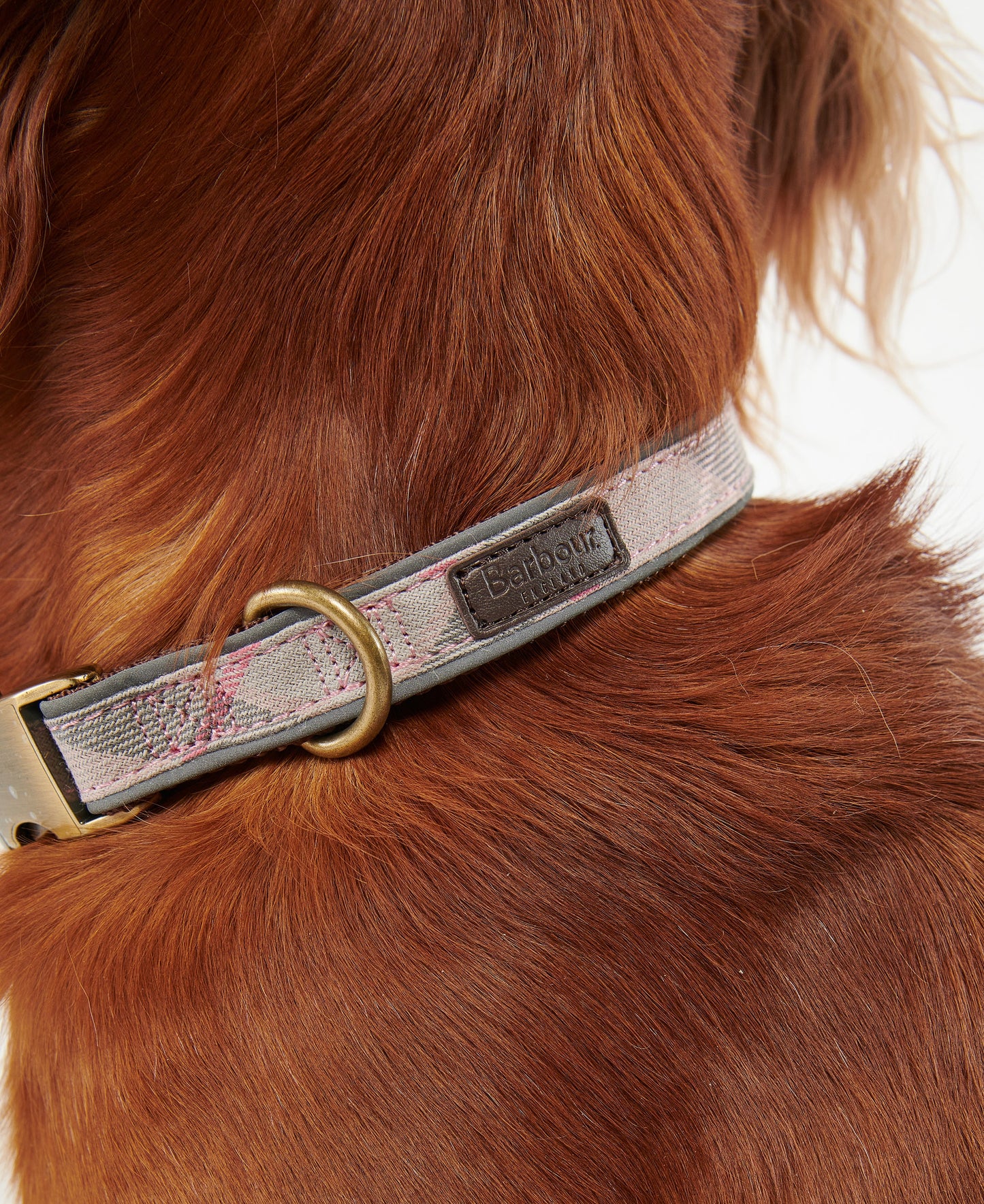 Reflective Tartan Dog Collar