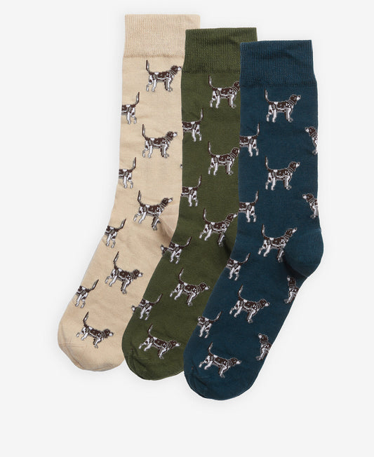 Pointer Dog Socks Gift Box