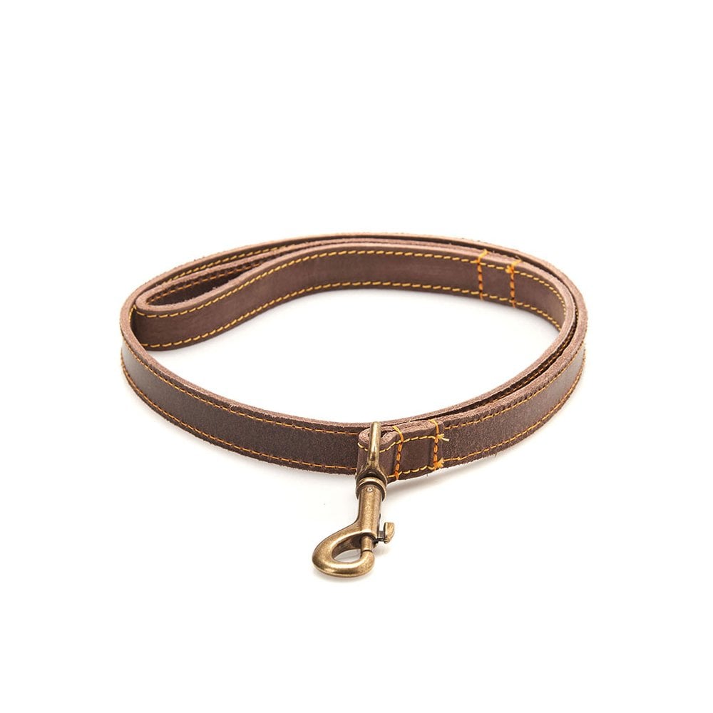 Leather Dog Lead