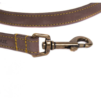 Leather Dog Lead