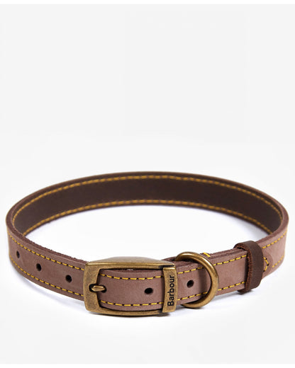 Leather Dog Collar